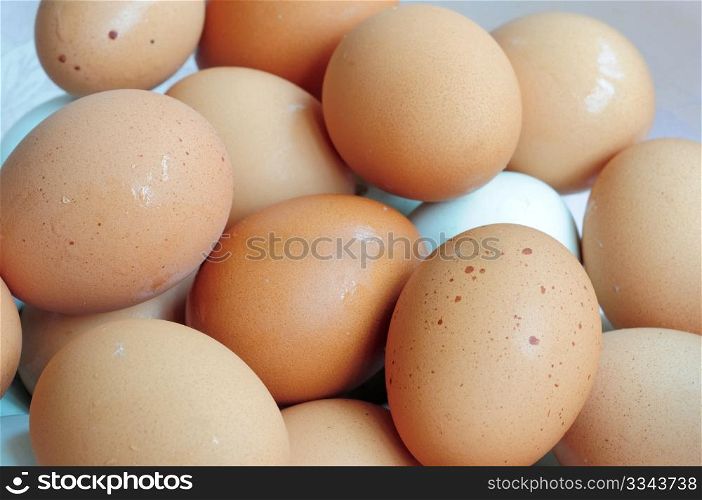 Dozens of fresh eggs in a pile