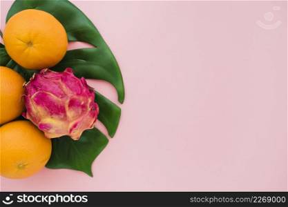 dragon fruit oranges palm leaf with blank space