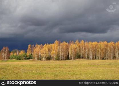 Dramatic dark blue sky scenery. Deep dark landscape. Evening sunlight through the dark blue sky after the storm. . Dark dramatic sky and the forest scenery .. Dramatic dark blue sky scenery. Deep dark landscape. Evening sunlight through the dark blue sky after the storm. . Dark dramatic sky and the forest scenery
