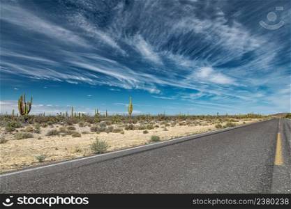 Dramatic landscape with a road through a mexican desert, San Ignacio, Baja California, Mexico