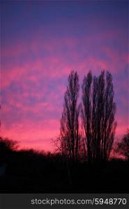 dramatic pink purple sky and trees sunset or sunrise