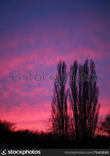 dramatic pink purple sky and trees sunset or sunrise