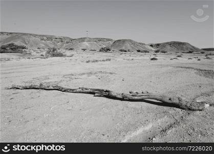 Dramatic scene in black and white of the rocky hills of the Negev Desert in Israel. Breathtaking landscape and nature of the Middle East.