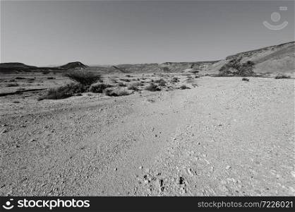 Dramatic scene in black and white of the rocky hills of the Negev Desert in Israel. Breathtaking landscape and nature of the Middle East.