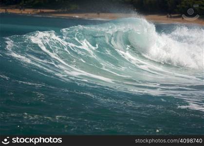 Dramatic Shorebreak Wave on a clear morning.