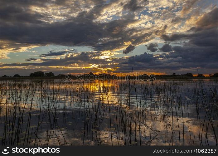 Dramatic sunset in the wetlands of the Okavango Delta in northern Botswana, Africa.