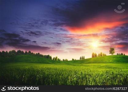Dramatic sunset on the summer meadow, natural landscape