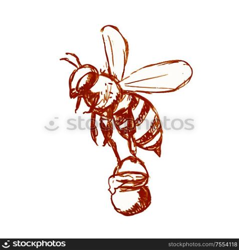Drawing sketch style illustration of honey bee carrying a pail of honey flying done in black and white on isolated background.. Honey Bee Carrying Pail of Honey Drawing Black and White