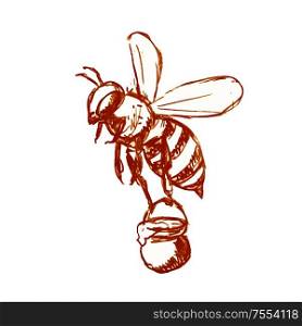 Drawing sketch style illustration of honey bee carrying a pail of honey flying done in black and white on isolated background.. Honey Bee Carrying Pail of Honey Drawing Black and White