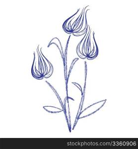 Drawing sketch with tulips on white background