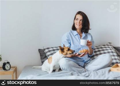 Dreamful smiling female with dark hair wears domestic clothes, has breakfast in bed, sits near her favourite pet who smells delicious croissant, enjoys rest and weekends. People and relaxation
