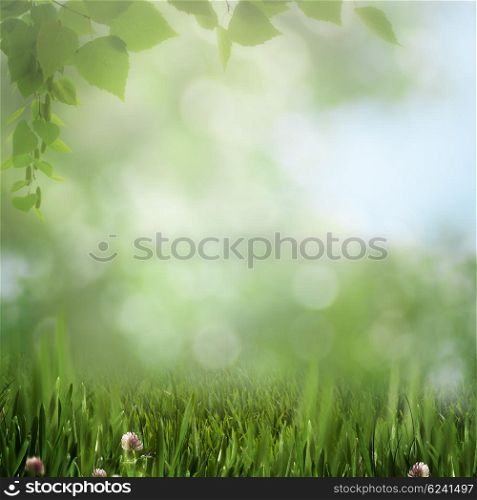 dreamy afternoon on the meadow, seasonal natural backgrounds