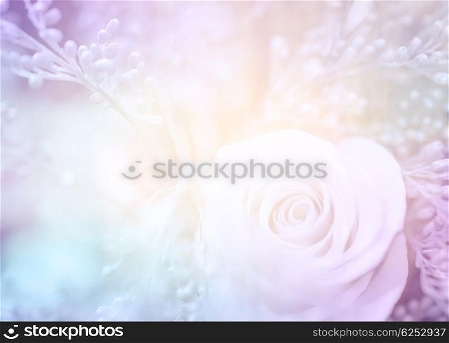 Dreamy wedding card, beautiful photo of gentle rose flowers in pastel colors, tender floral background, soft focus, romantic postcard