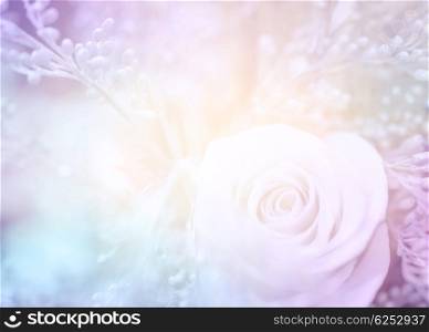 Dreamy wedding card, beautiful photo of gentle rose flowers in pastel colors, tender floral background, soft focus, romantic postcard