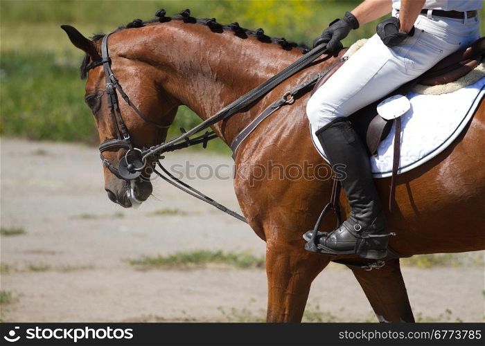 Dressage horse and a rider .&#xA;