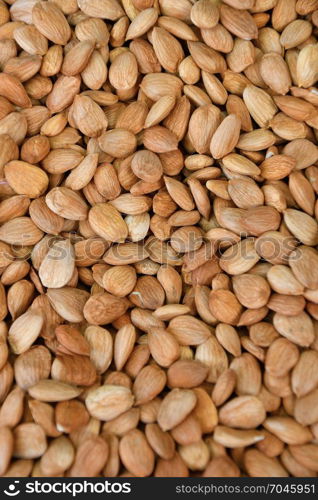 Dried almond kernel sold at the Bazaar