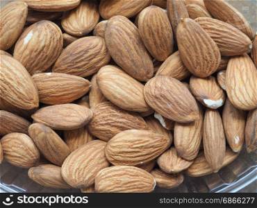 dried almonds fruit. almonds (Prunus dulcis or Prunus amygdalus) food