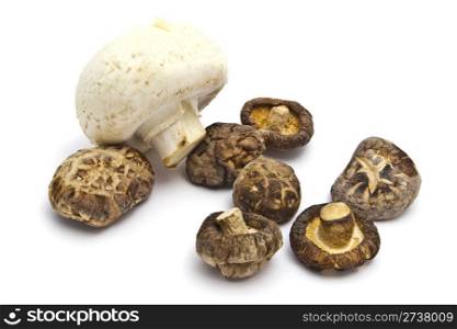 Dried and fresh mushroom closeup on white