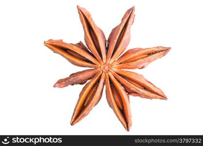 Dried anise spice on white background macro