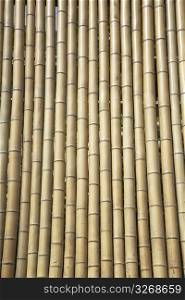 Dried bamboo