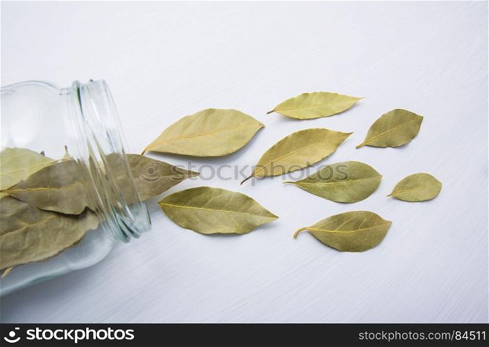 Dried bay leaves in glass jar on white wooden background.