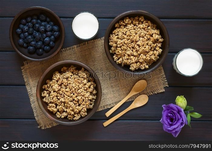 Dried berry and oatmeal breakfast cereal in rustic bowls with glasses of milk and fresh blueberries, photographed overhead on dark wood with natural light