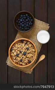 Dried berry and oatmeal breakfast cereal with fresh blueberries in wooden bowl with a glass of milk, photographed overhead on dark wood with natural light
