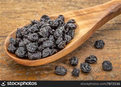 dried blueberry fruit on wooden spoon against grunge wood background