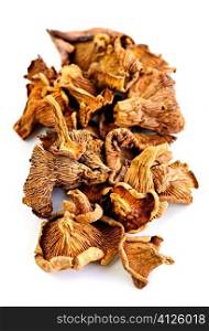Dried chanterelle mushrooms isolated on white background
