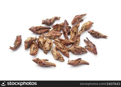 Dried chapulines on white background