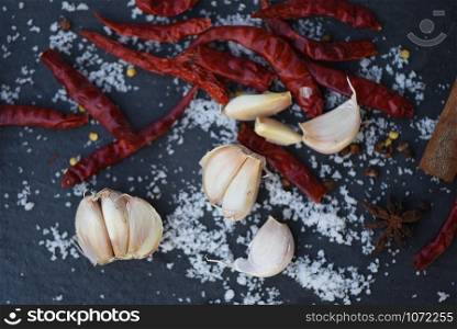 dried chilli garlic herbs and spices with salt on dark background - selective focus top view