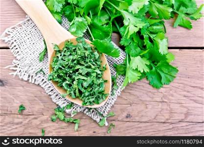 Dried cilantro in a spoon on burlap, fresh cilantro herb on a wooden board background from above