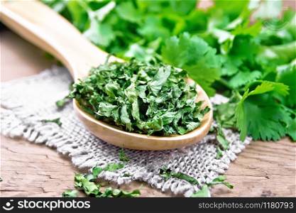 Dried cilantro in a spoon on burlap, fresh cilantro herb on a wooden board background