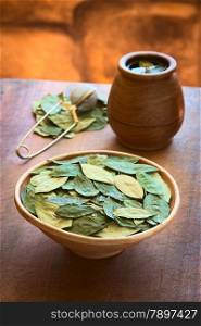 Dried coca leaves in clay bowl with fresh coca tea (mate de coca) in the back, photographed with natural light (Selective Focus, Focus on the middle of the coca leaves)