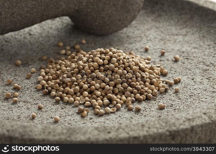 Dried coriander seeds on a traditional stone mortar and pestle