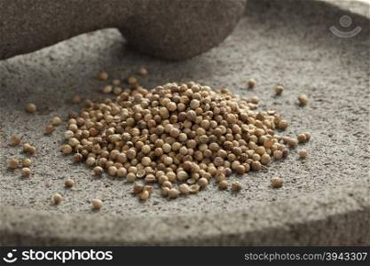 Dried coriander seeds on a traditional stone mortar and pestle