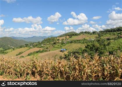 Dried corn terrace field against mountain ranges in hill tribe village, Thailand