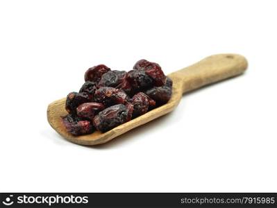 Dried cranberries on shovel