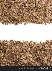 dried dill seeds isolated on white background