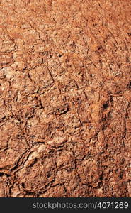 Dried earth