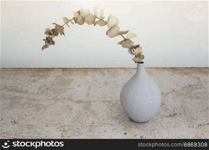 Dried eucalyptus leaves in vases, stock photo