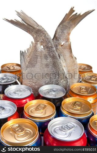 Dried fish and beer on a white background