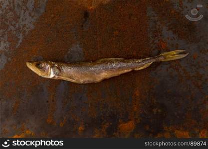 Dried fish. Salty dry river fish on a rusty metal plate background.
