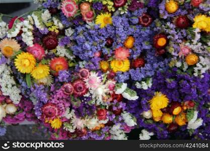 Dried flowers in small bouquets at a market in the Provence