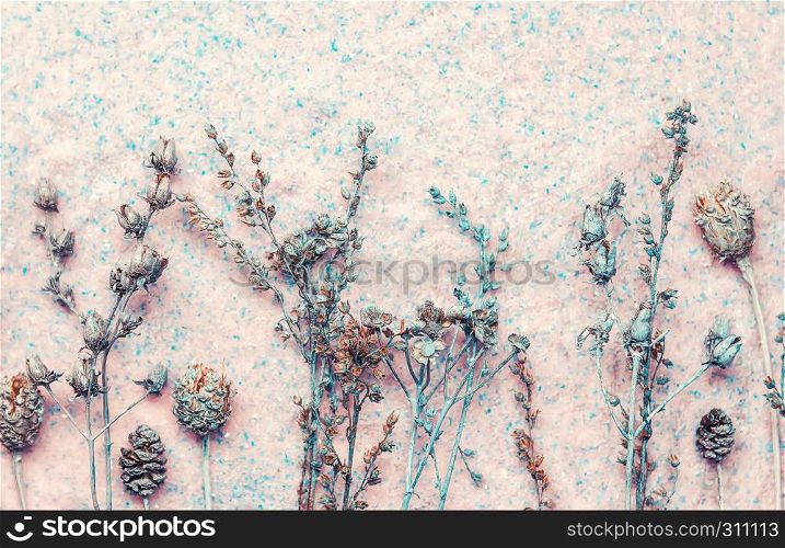 Dried flowers on mottled light pink stone background. Selective focus.. Pastel Floral Background