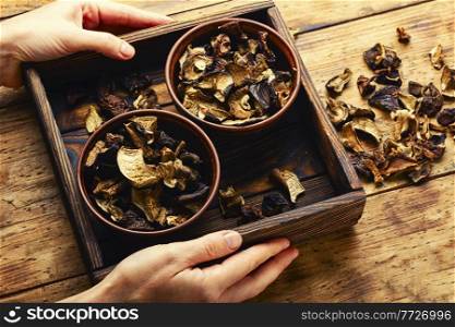 Dried forest mushrooms in hands.Heap of dried edible mushrooms. Sliced dried mushrooms