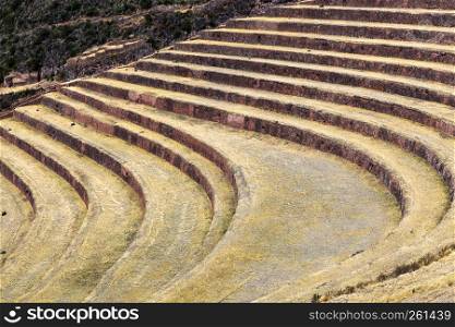 dried grass in the ancient stone terraces