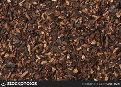 Dried Honeybush tea leaves from South Africa close up full frame as background