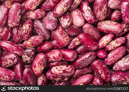 Dried kidney red speckled beans