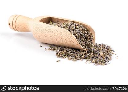 dried lavender organic tea in wooden scoop Isolated on white background